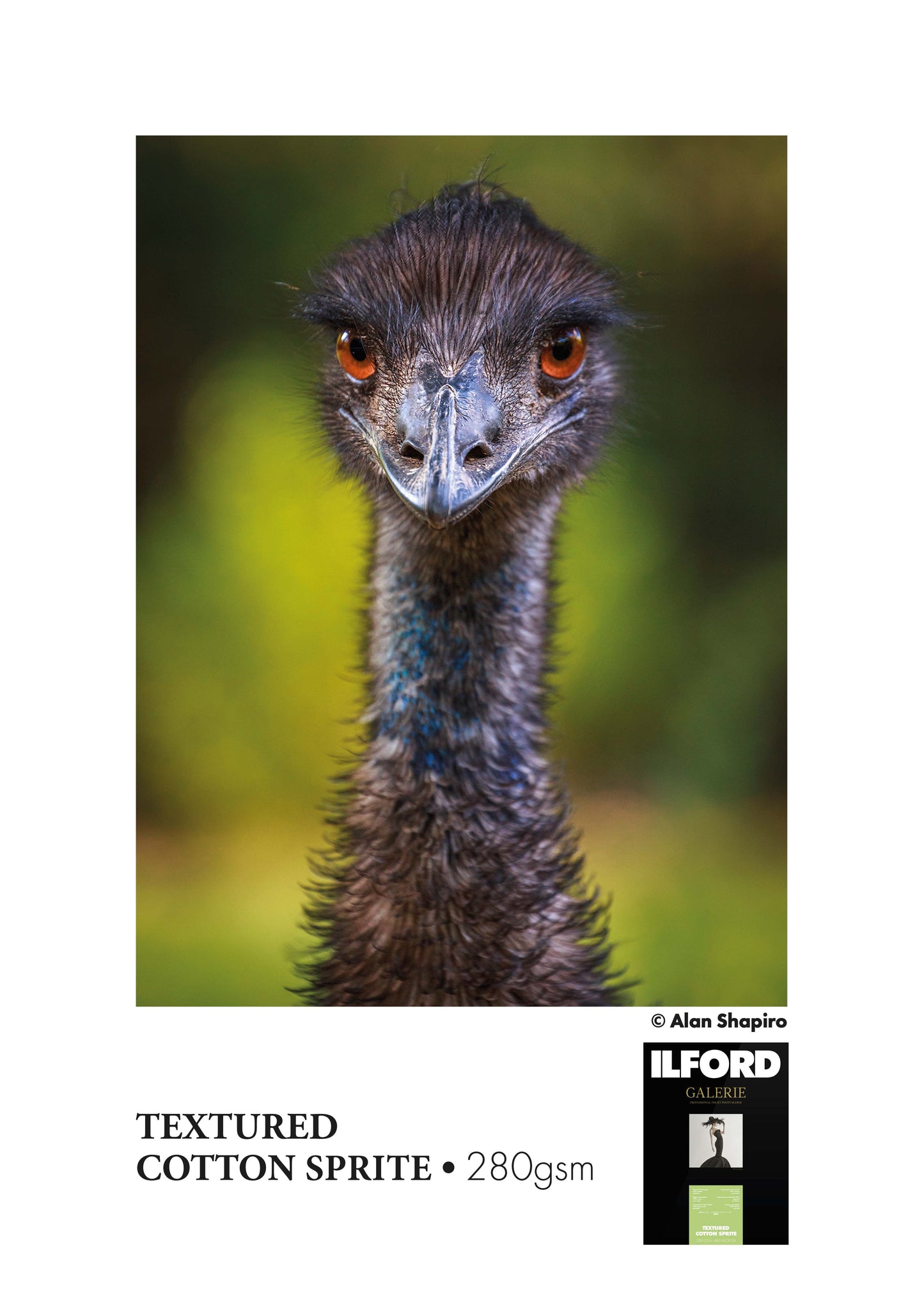 ILFORD GALERIE Textured Cotton Sprite (GTCSJ)