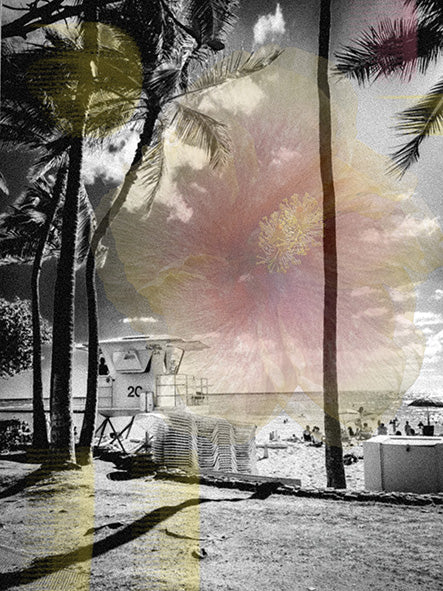 Dreamscape Coast
