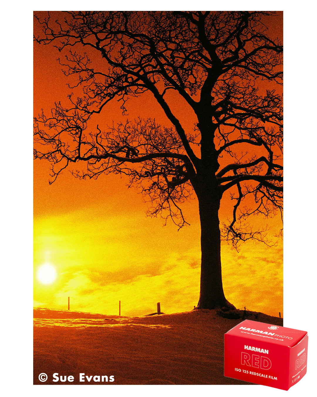 HARMAN RED 125
