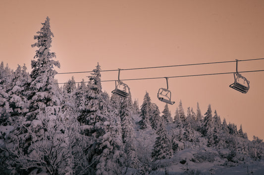 Frozen Morning